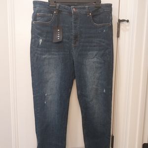 Risen Distressed IXL Plus Skinny Jeans